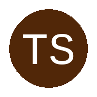 Tk Stars Academy logo