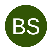 Buffalo Stars Woman's FC logo