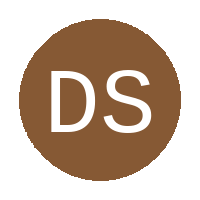 Dankie Son FC logo