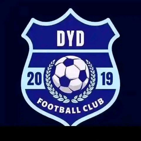 Dlangezwa Young Destroyers FC logo