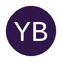 Young Boys FC logo