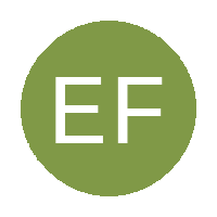 Ebony Fighter Football Club logo