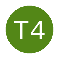 Two 4 Joy logo