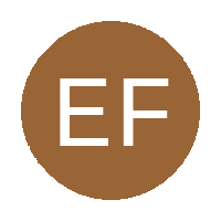 EXPERIENCE F.C logo