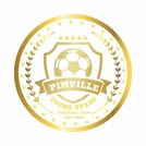 Pimville Young Stars FC logo