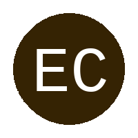 ELVER CITY logo