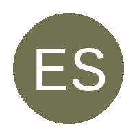 Eastern Swallows logo
