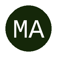 Masedi All Stars FC logo