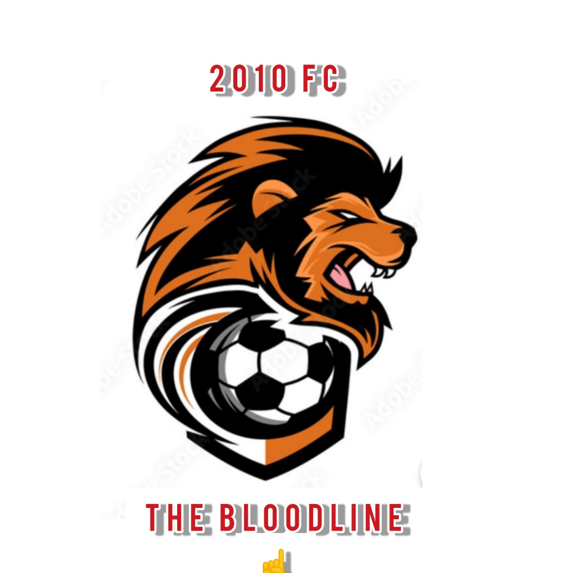 2010 FC logo