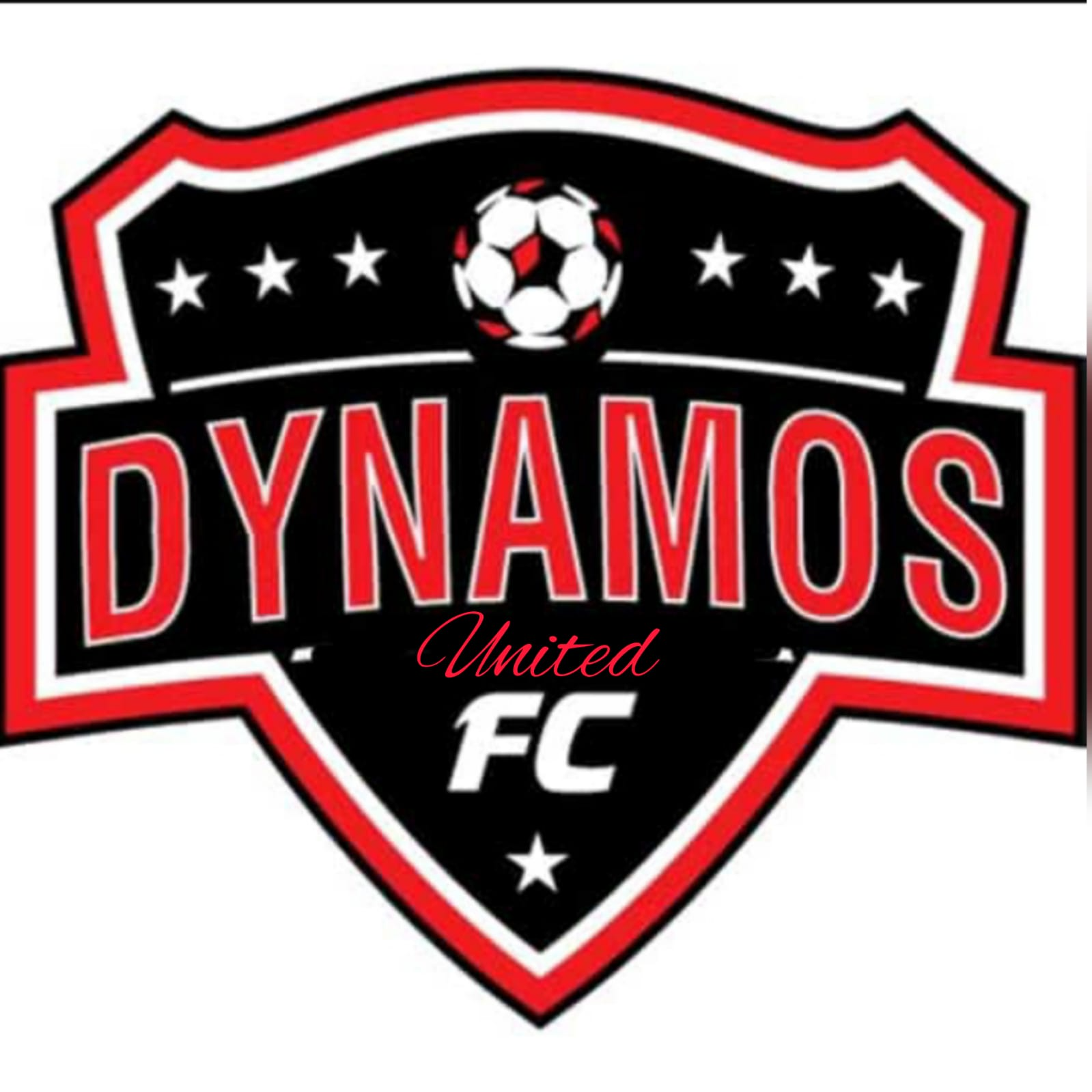 Dynamos FC logo