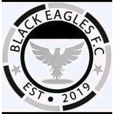 Black Eagles FC logo
