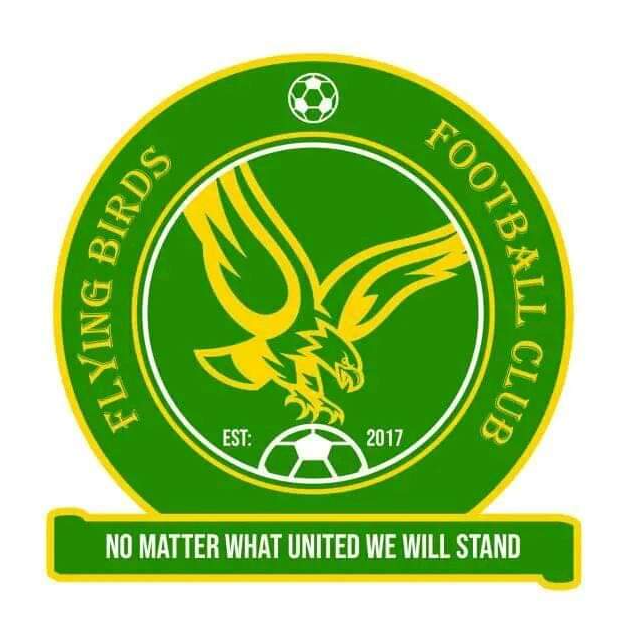 Flying Birds logo