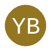 Young Brazilians logo
