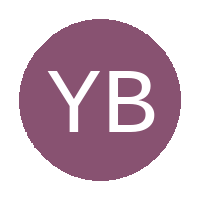 Young Bafanas logo