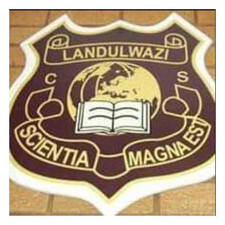 Landulwazi FC logo