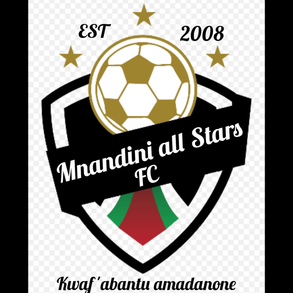 Mnandini All Stars logo