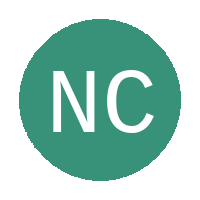New City Fc logo