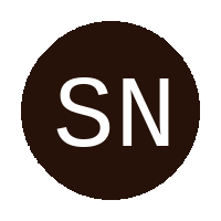Siyanda Ncubo Academy logo