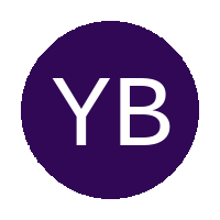 Young Boys Academy logo