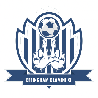 Effingham Dlamini logo