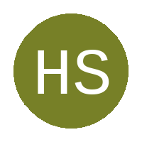 Holy Stars logo