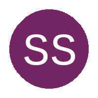 Shooting Stars FC logo