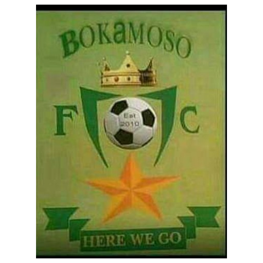 Bokamoso FC logo