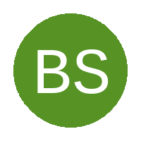 Bright Stars logo