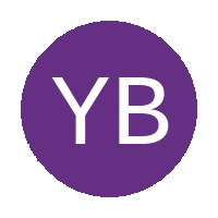 Young Boys FC logo