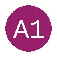 Academy 11  FC logo