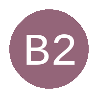 Boys 2man FC logo