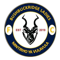 Teka-Teka Ladies FC logo