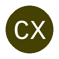 Chicco XI FC  logo