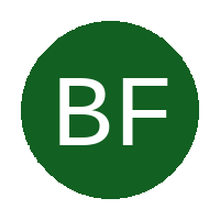 Bokamoso FC logo