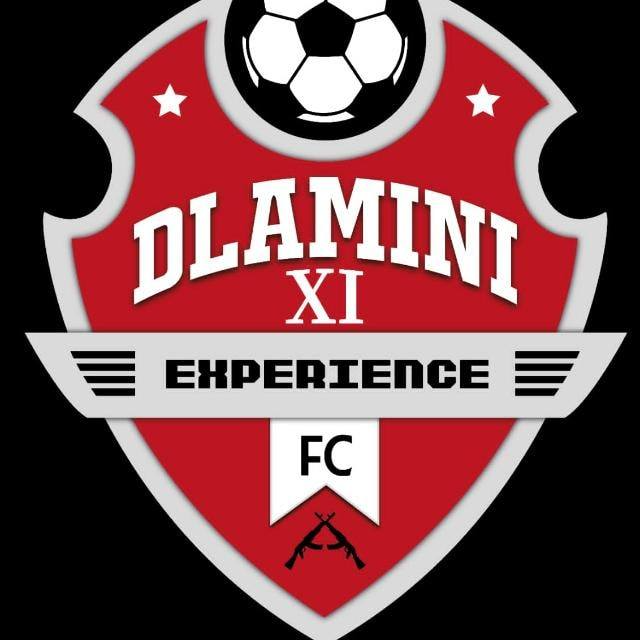 Dlamini XI Expierence logo