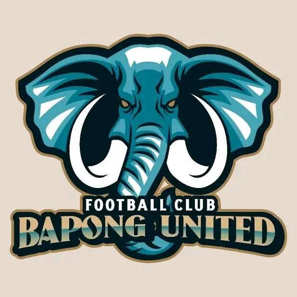 Bapong United FC logo