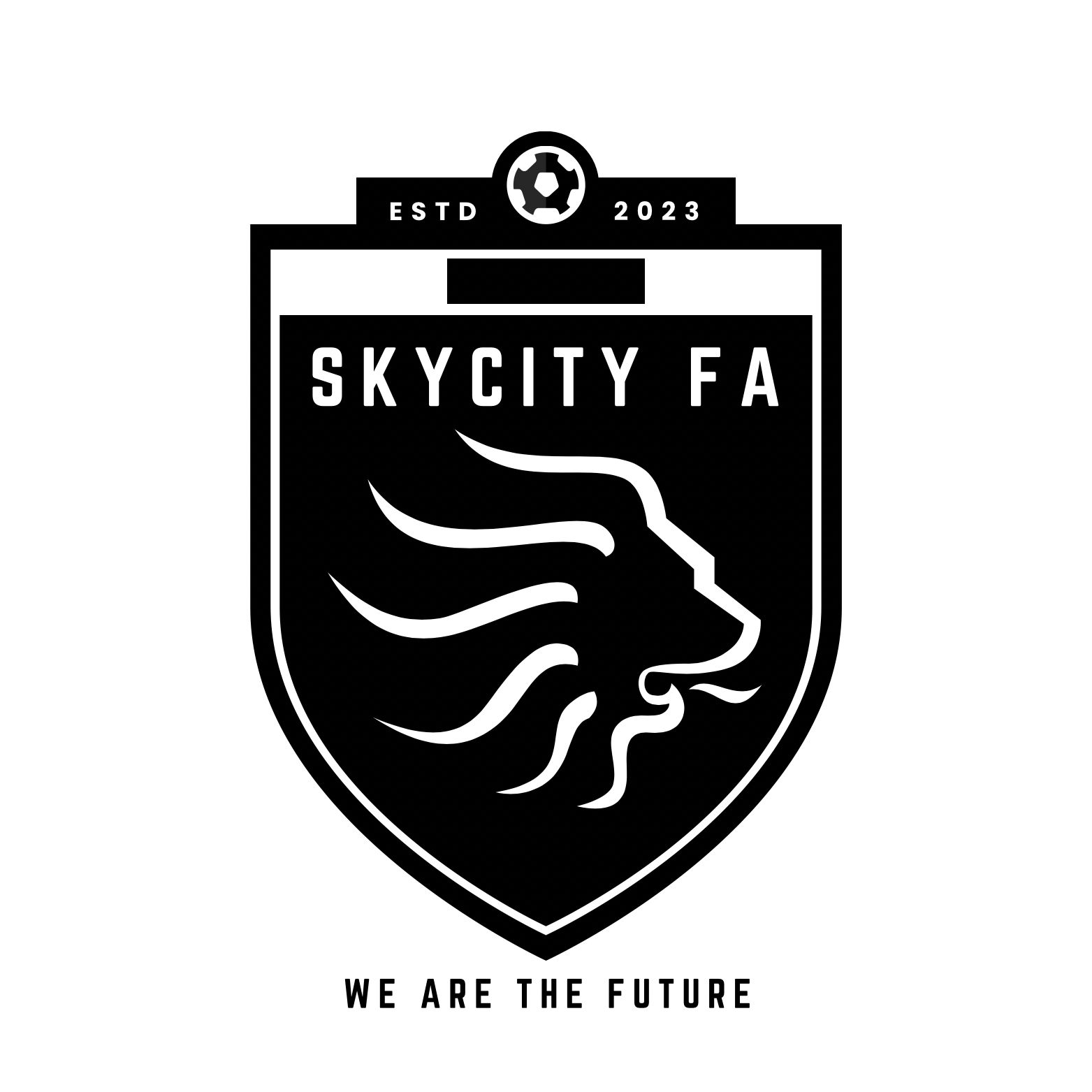 Sky City Football Academy Alberton logo