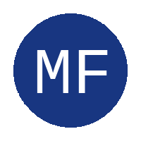 Mount Fletcher City FC logo