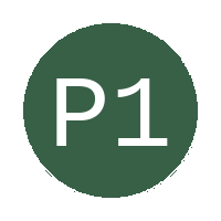 Philane 11 Stars F.C. logo
