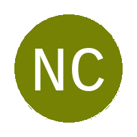 Newcastle Cheetahs Express F.C. logo