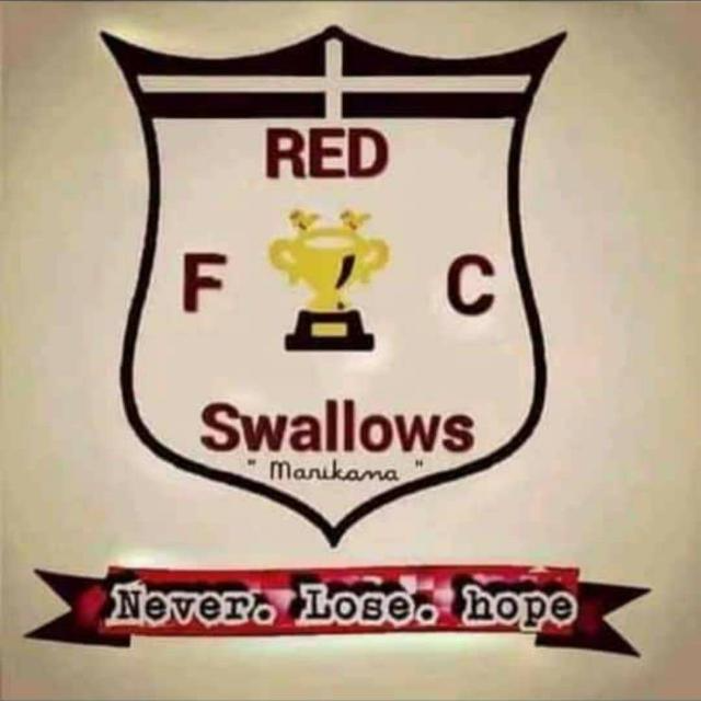 Red Swallows FC logo