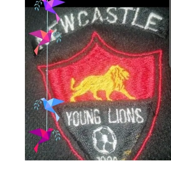Newcastle Young Lions FC logo