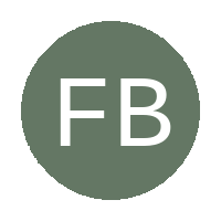 FLYING BIRDS FC logo