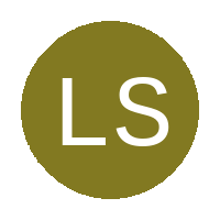 Lindi Stars FC logo