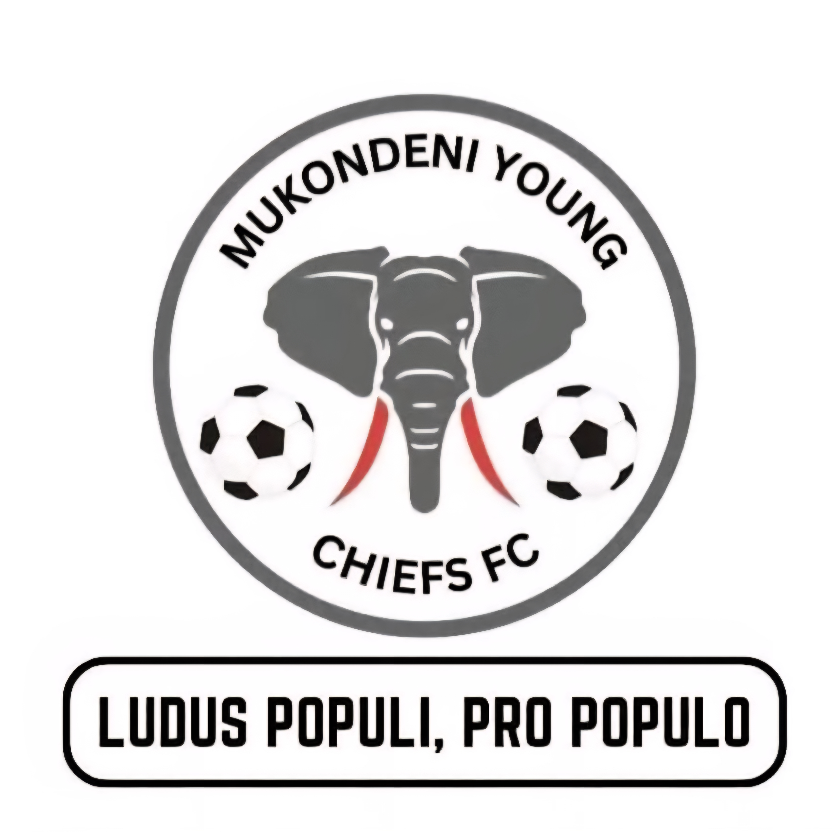 Mukondeni Young Chiefs FC logo