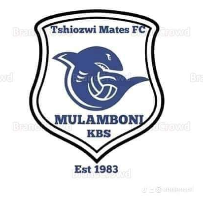 Tshiozwi Mates FC logo