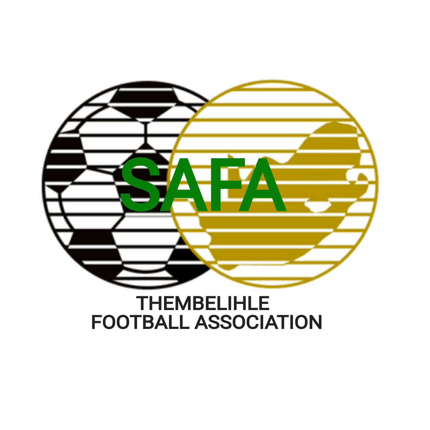 Thembelihle Promotional League League logo