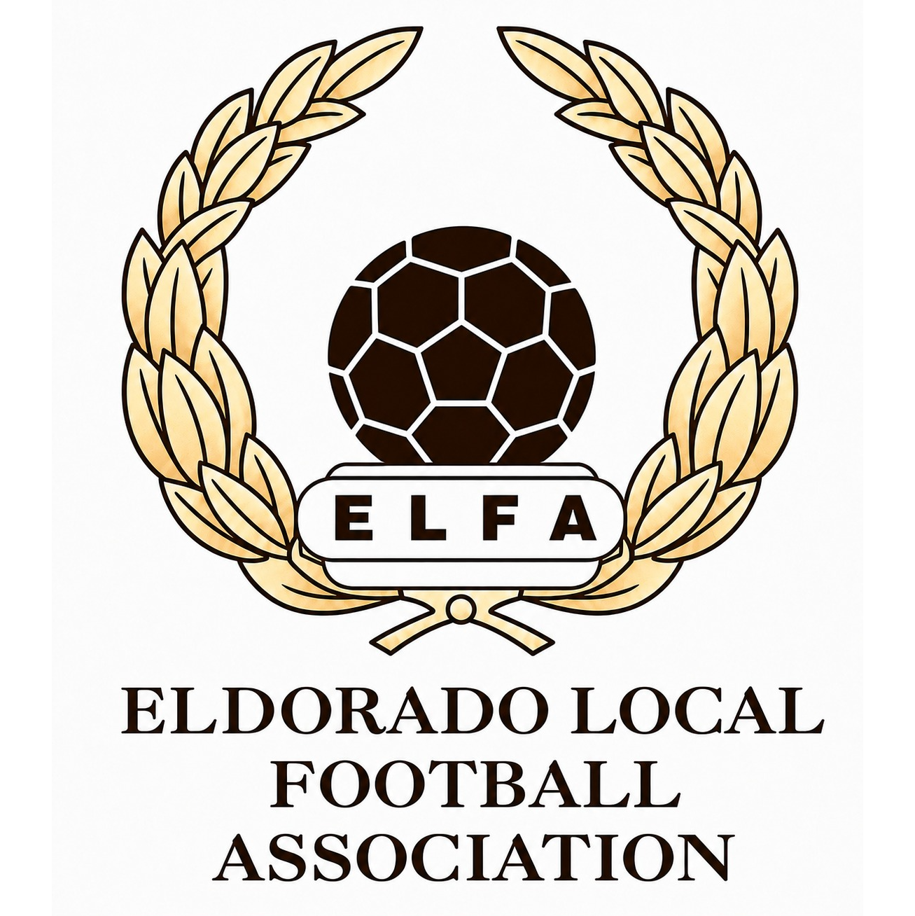 Women's Day Competition Under 11 Ladies League logo