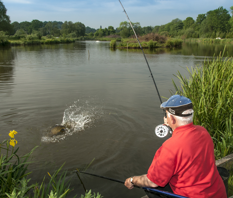 The most common fishing questions