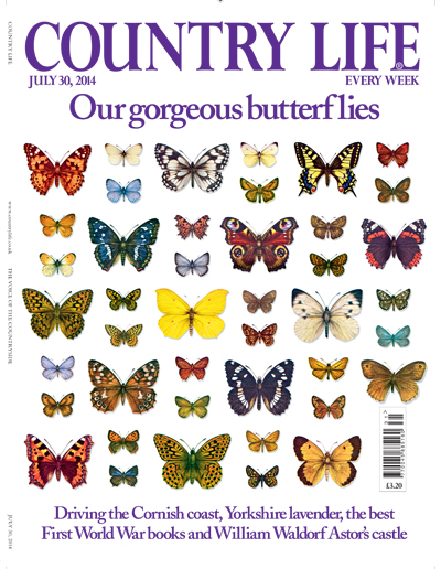 Country Life Magazine july 30 2014